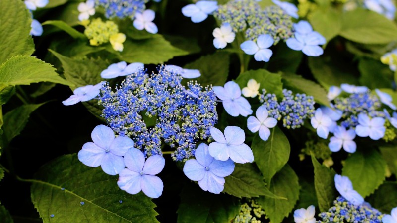 全过程记录，揭秘廉价济州岛跟团游背后的真相