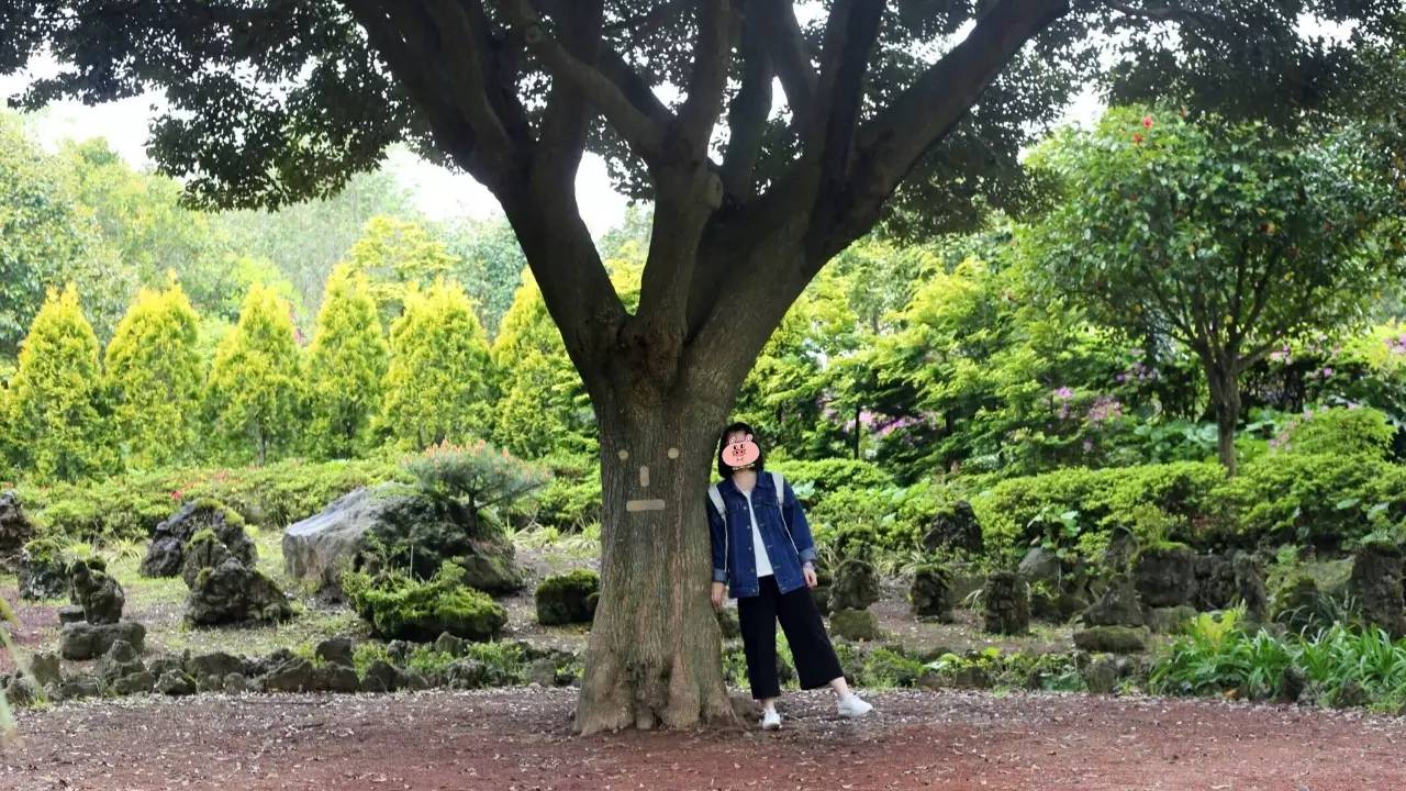 全过程记录，揭秘廉价济州岛跟团游背后的真相