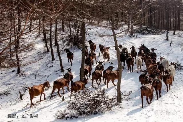 土象星座的星座,朝天的地理位置