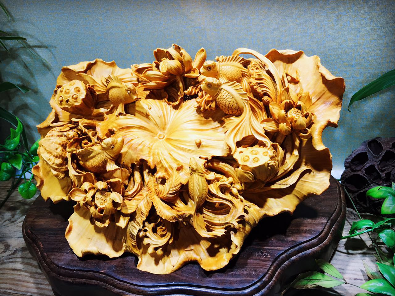 黄杨木集天地之精华木质细腻可做雕刻品