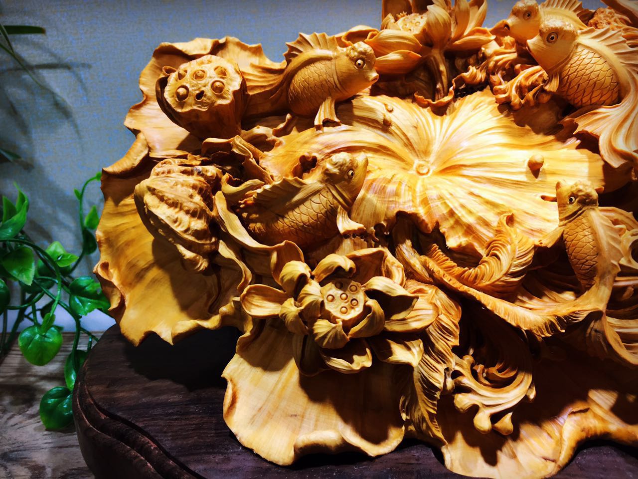 黄杨木集天地之精华木质细腻可做雕刻品