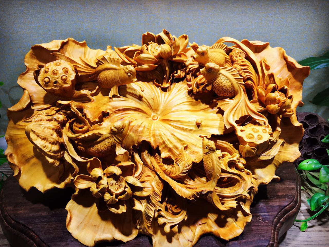 黄杨木集天地之精华木质细腻可做雕刻品