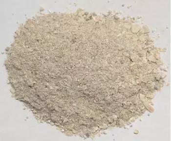 牛奶牡蛎做法,牛奶烩牡蛎