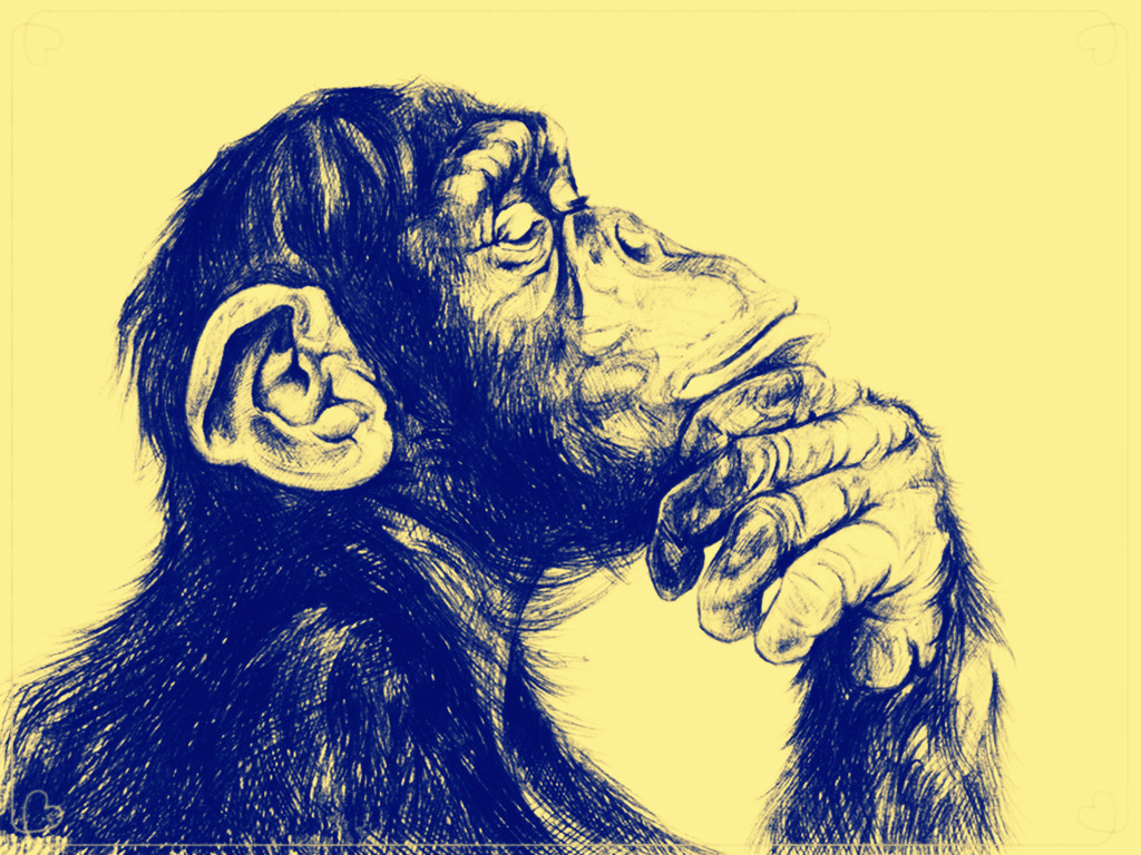 随笔文学,随笔深度思考