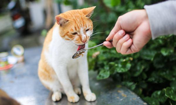 台湾小清新,台湾最美的十个小镇