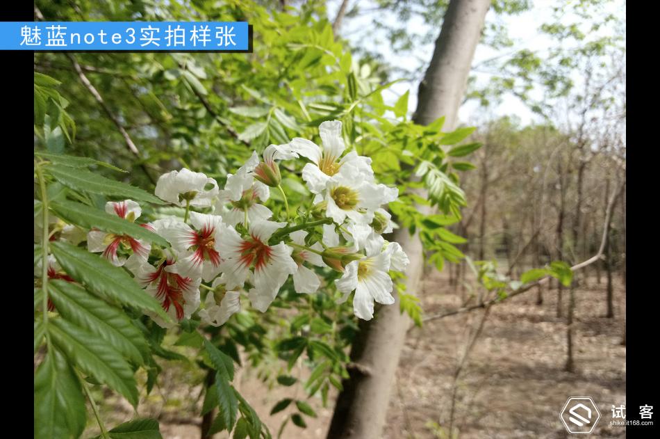 续航持久不发热手机,魅蓝note3续航