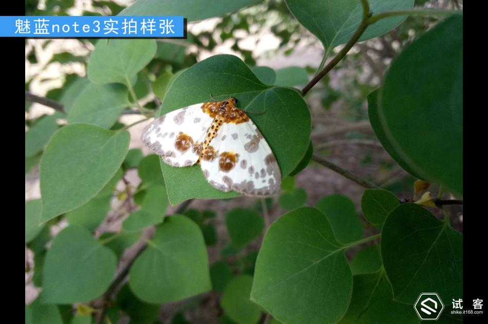 续航持久不发热手机,魅蓝note3续航