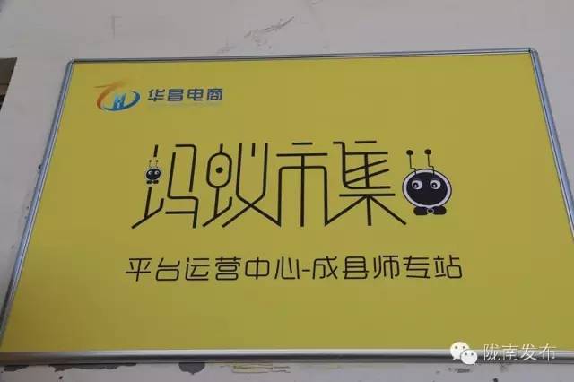 一天时间，陇南电商观摩组看了什么”点“？取了哪些”经“？