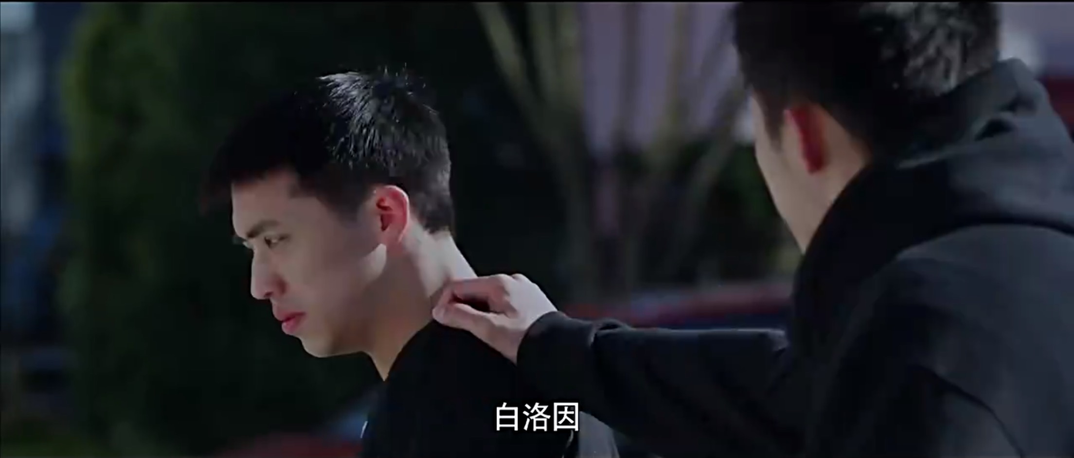 顾海白和洛因小说作者,顾海白和洛因重逢