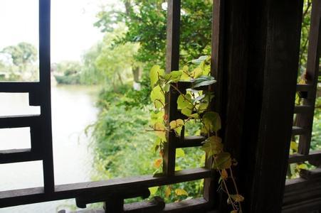 分享一首好听带有魔性的音乐,分享一首好听古风歌曲