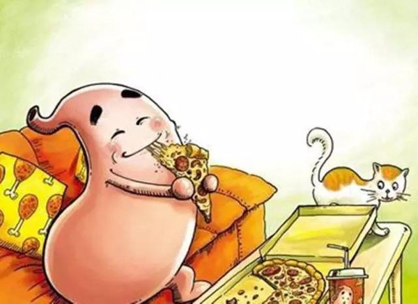 养胃促进胃动力的食物,胃动力差吃什么食物比较养胃