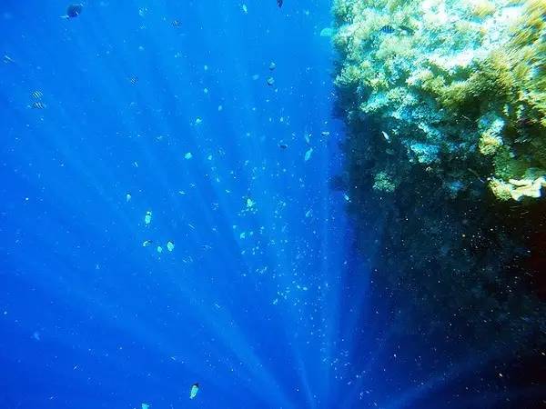 帕劳旅游报价携程,帕劳深度旅游攻略