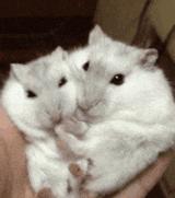 防火，防闺蜜，难闻的脚气怎么防？