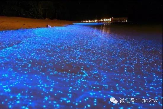 传说中此生必看的马祖蓝眼泪在哪？“追泪”秘笈带你去！