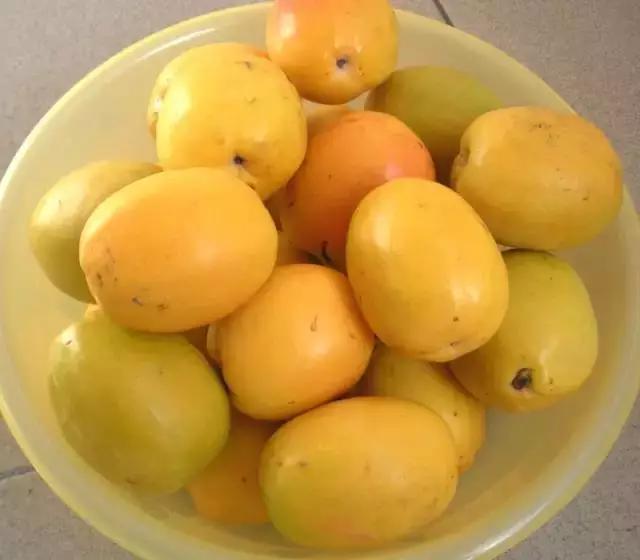 水果蘸着盐巴、辣椒吃,泡酒喝,云南人吃水果的姿势太丰富多彩了