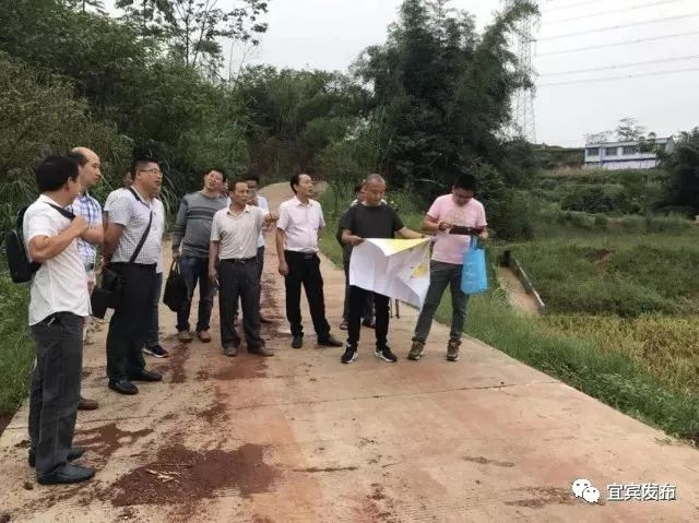 宜宾市国土自然资源厅,宜宾市国土资源局公示