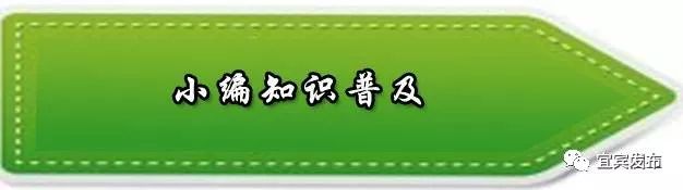 宜宾市国土自然资源厅,宜宾市国土资源局公示