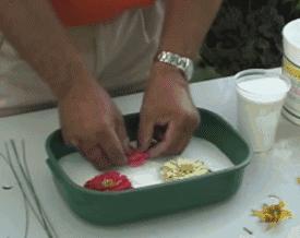 精致手工干花教程,100种干花切法图解