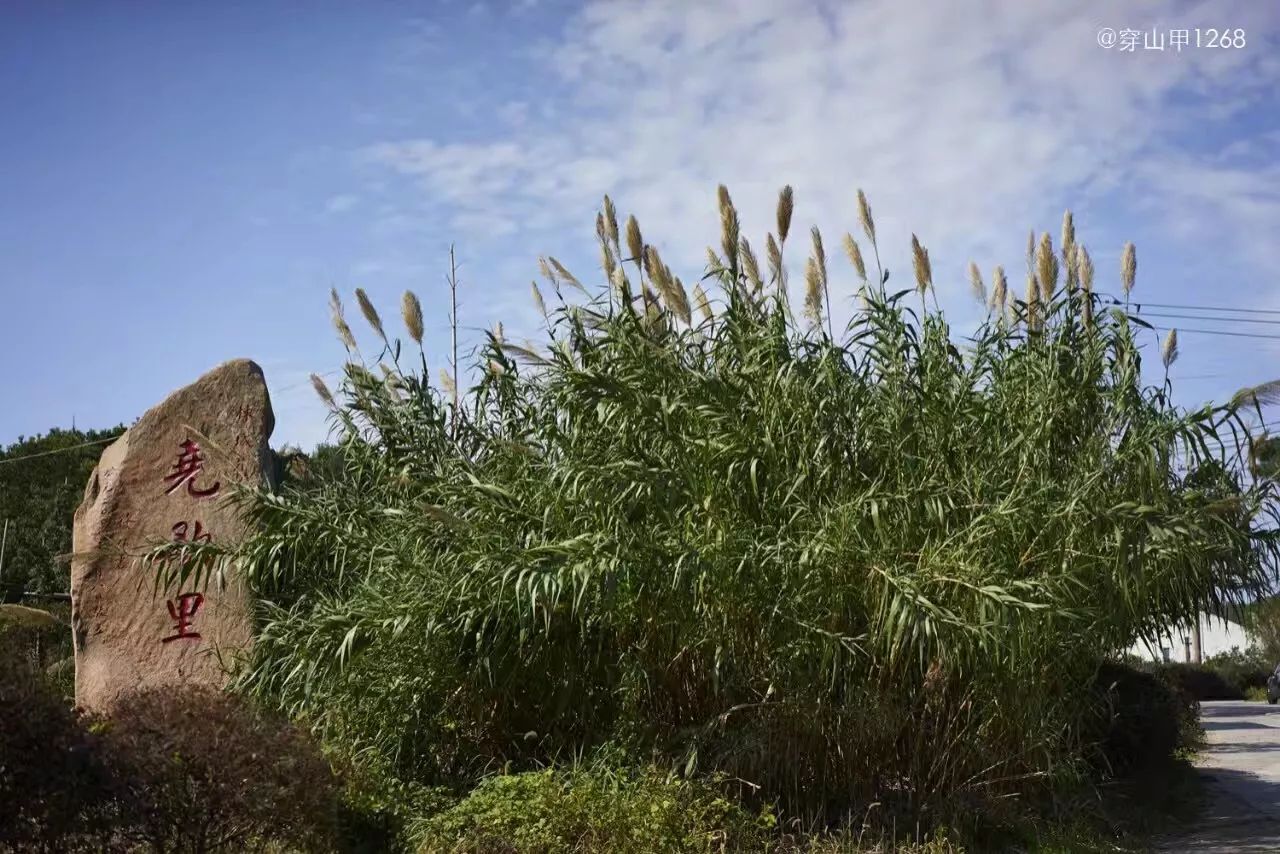 无锡江南古村,尧歌里古村入口景观工程