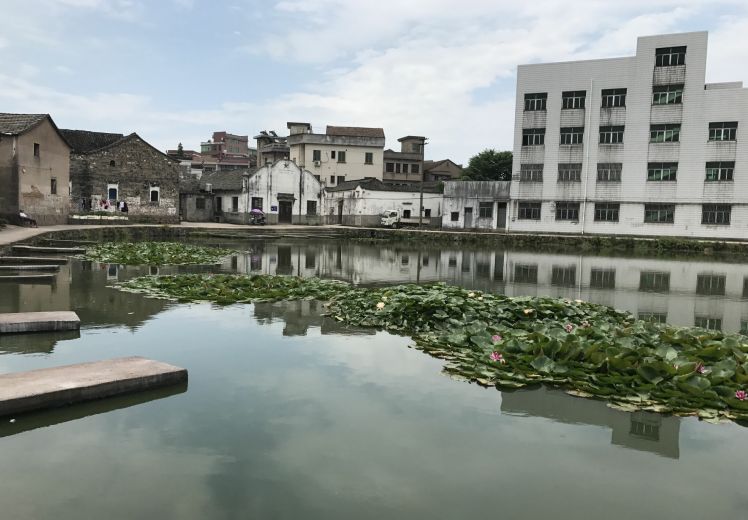 “韵美古山”风光好逐梦路上踏歌行｜古山镇“点线面”融合创美实现镇村面貌蝶变