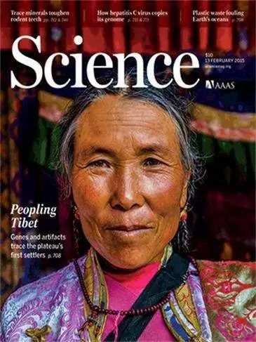 乐活｜W酒店，一场魔都最酷的圣诞趴