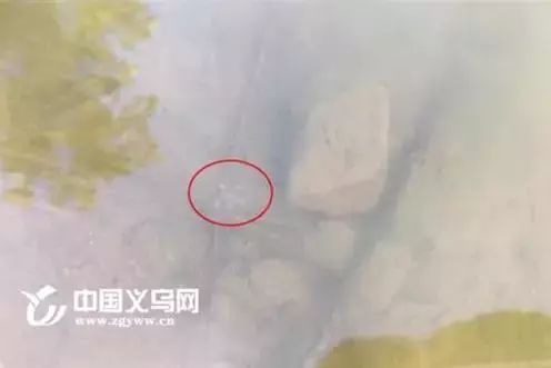 义乌人幸福的十大理由,义乌人最幸福的十个理由