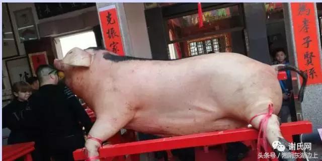 谢氏辈分大全广东,谢氏东山堂辈分