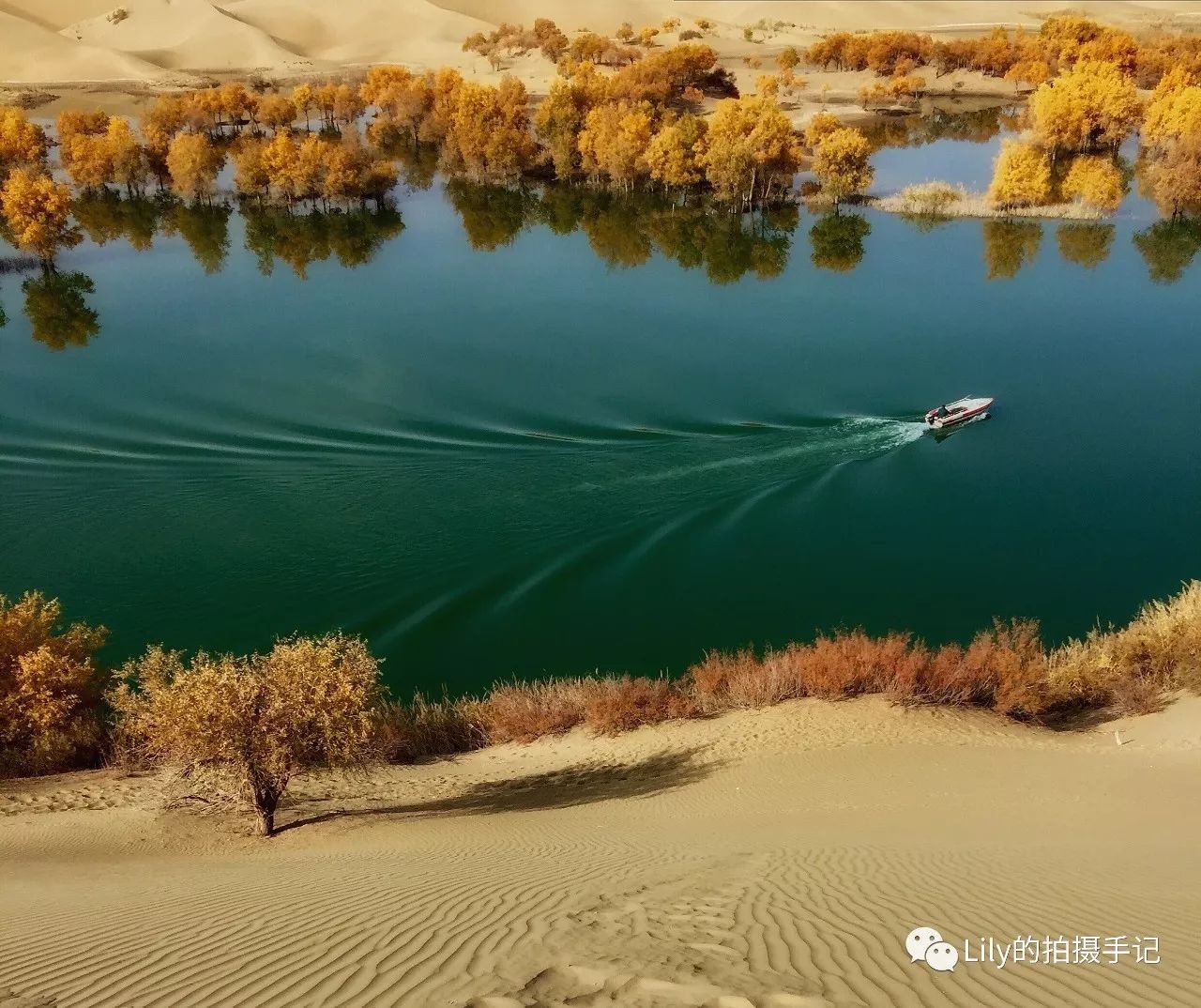 手机拍摄全景照片技巧大全,怎么用手机拍摄高清风景照片