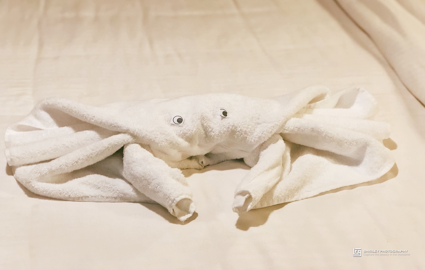 亚洲最大邮轮诺唯真喜悦号亮相,邮轮日本游诺唯真喜悦号