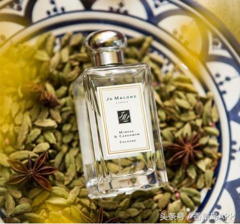 香料界第三贵重的香料,是健胃消食的绿色口气清新剂!