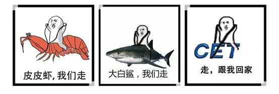 2016年年度网络热词,网络红词2017年度网络热词盘点