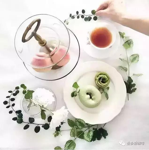 治愈系鲜花,最强治愈系