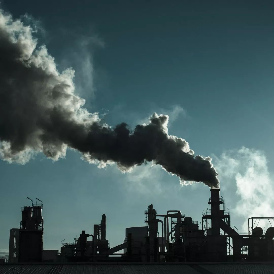 1部电影,2座建筑,3个城市,4场展览……2017年的36种元素