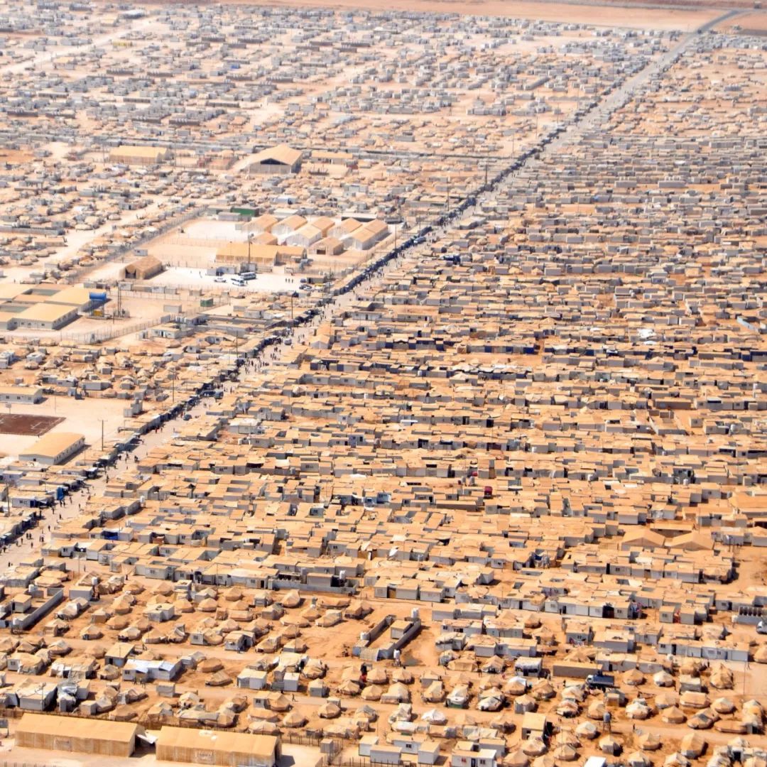 1部电影,2座建筑,3个城市,4场展览……2017年的36种元素