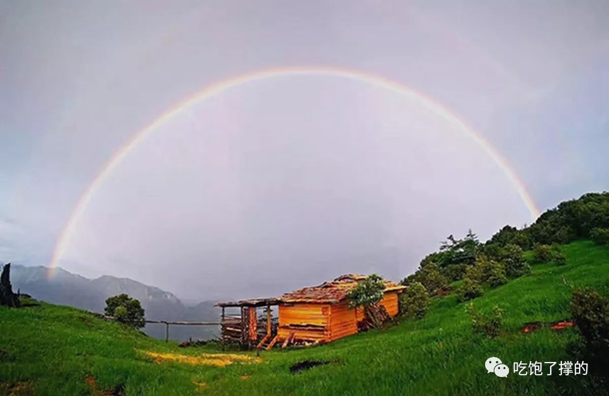 各种烤火龙果干,奶香傣家芒果干
