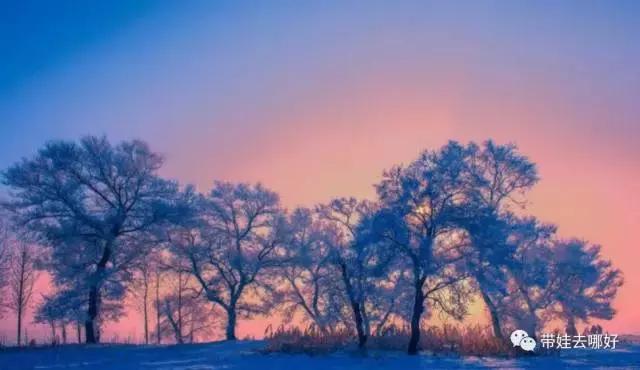 带娃冬天看雪最好的地方,冬季带孩子玩雪必备