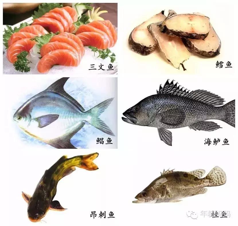 都说吃鱼会变聪明是真的吗,小孩子吃哪种鱼比较合适