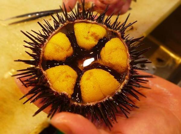 爱上旅顺这座城,爱上大连这座城市