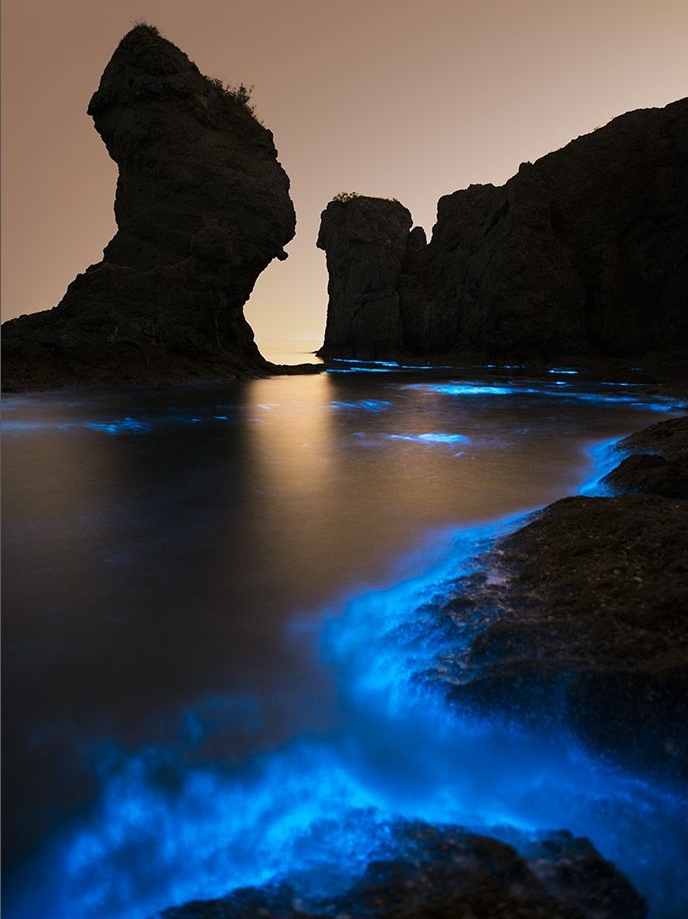 爱上旅顺这座城,爱上大连这座城市