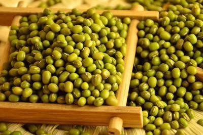 绿豆的营养价值成分表,绿豆的食用与药用价值