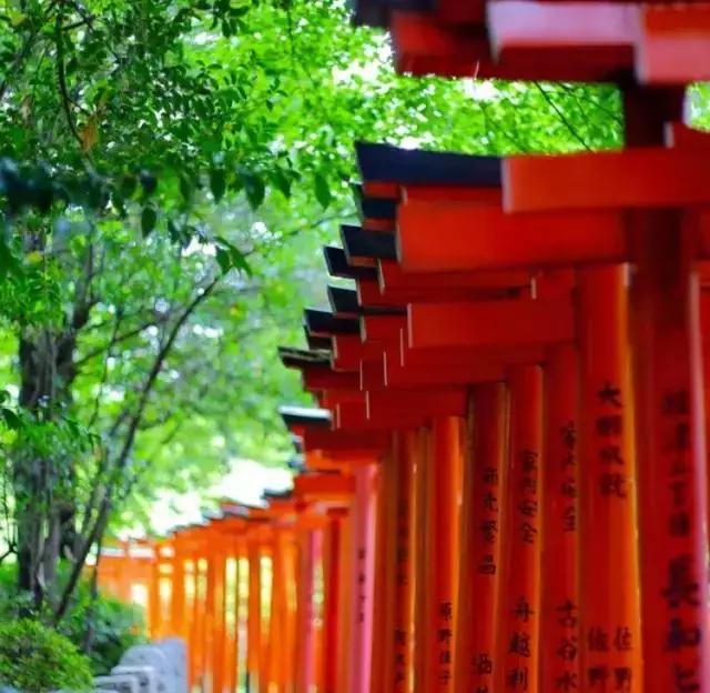 2018年住进日本の百年隐世桃源,尝尽独具特色国民料理尊享生活!