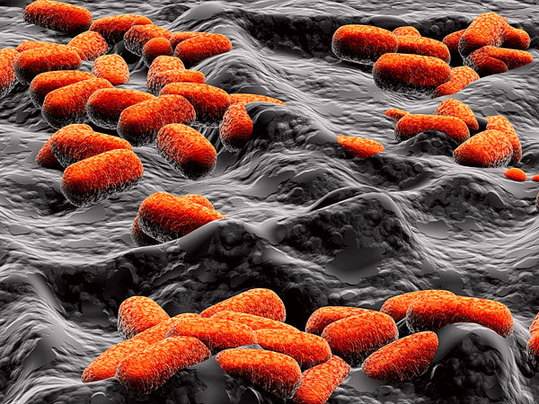 内裤穿得久了是不是有病菌,你的裤子穿几年了