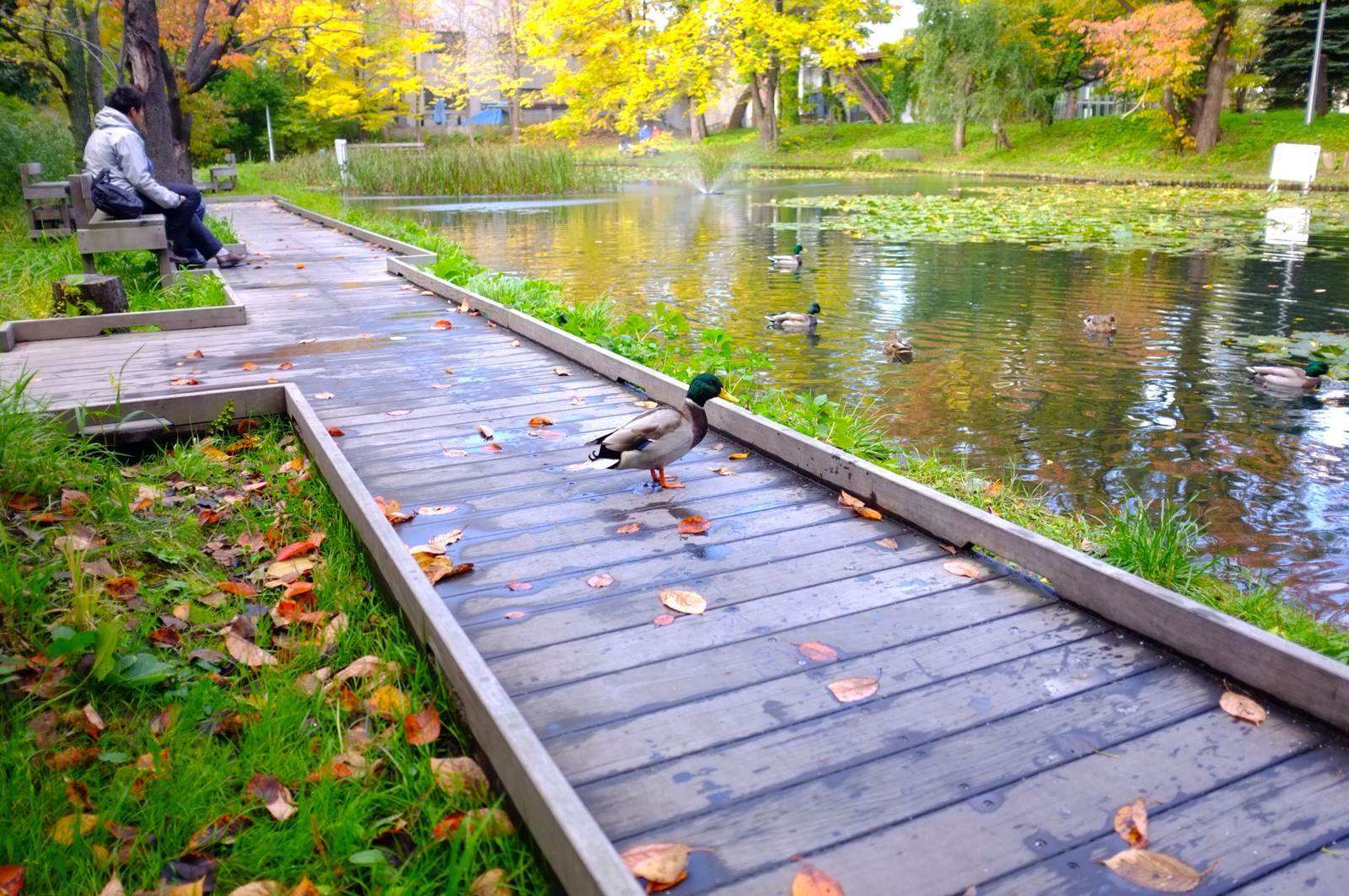 去日本留学行李最多能带多少斤 (去日本留学需要准备什么必备物品)