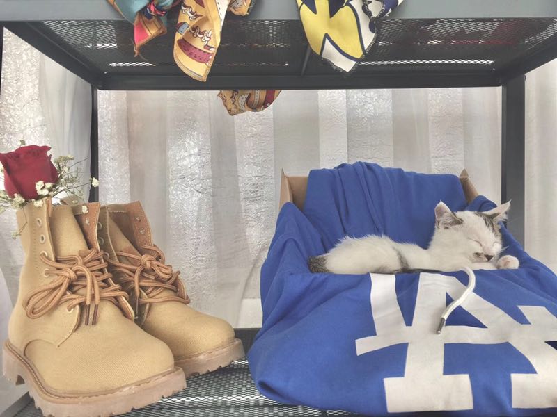 喧闹的社会,喧嚣的城市有这样一家小店