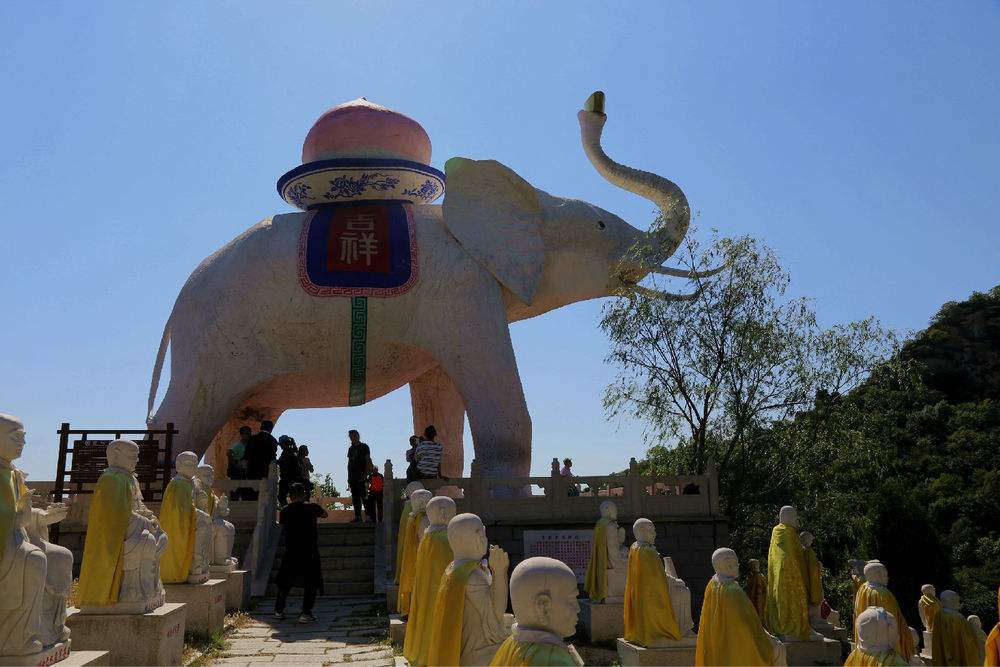 白象能有希望吗,白象到底出了多少东西