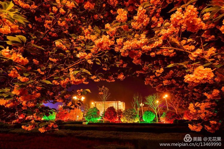 鹤壁淇河风光,鹤壁淇河夜景真实照片