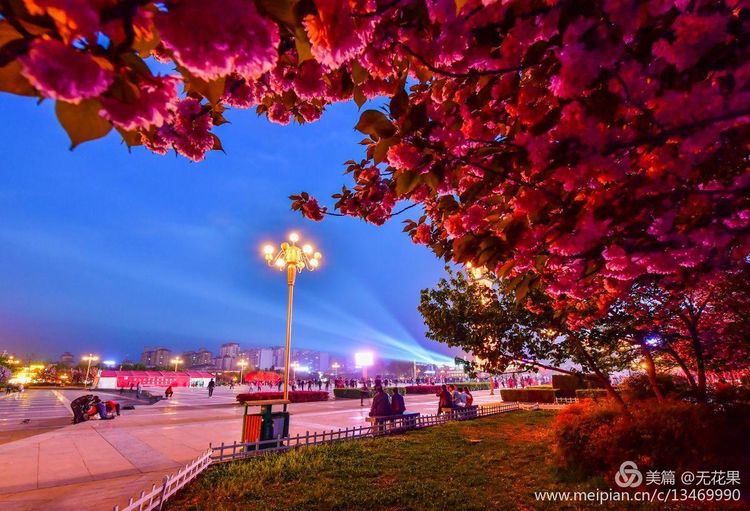 鹤壁淇河风光,鹤壁淇河夜景真实照片