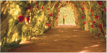 2018年度优秀童书排行榜,2016童书畅销书排行榜