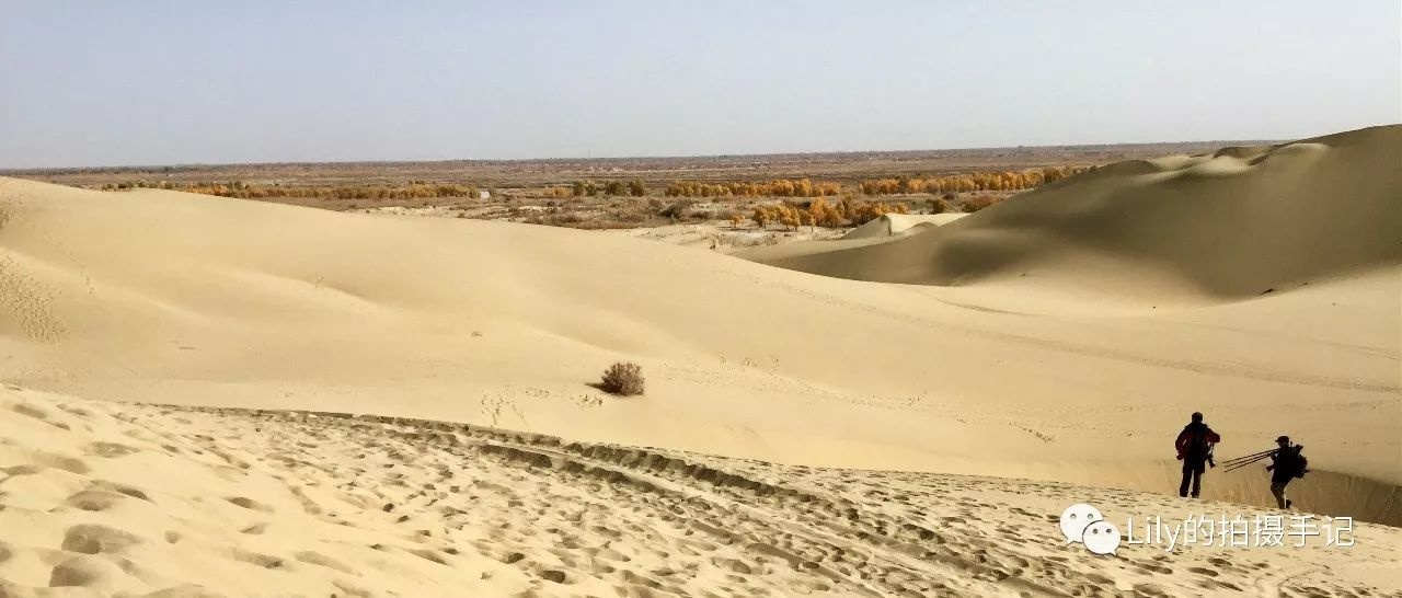 手机拍摄全景照片技巧大全,怎么用手机拍摄高清风景照片
