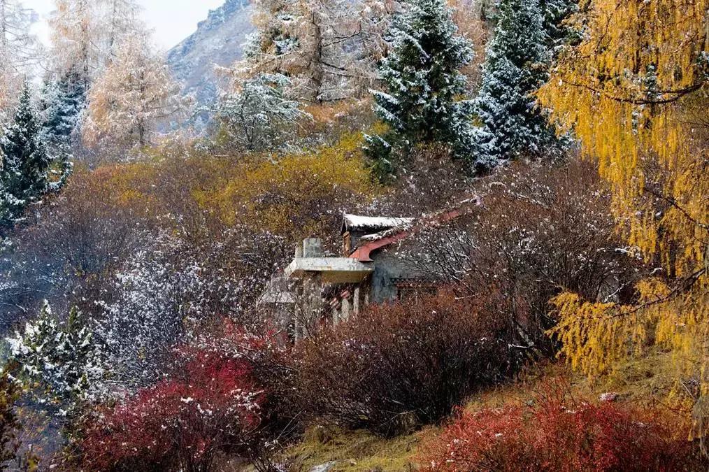 收藏一些自己喜欢的东西,收藏起来你一定用得到